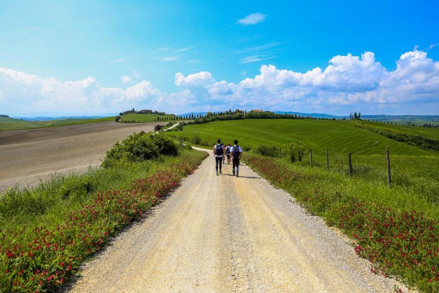 Podere Il Granaio - Crete Senesi - Tuscany เซียนา ภายนอก รูปภาพ