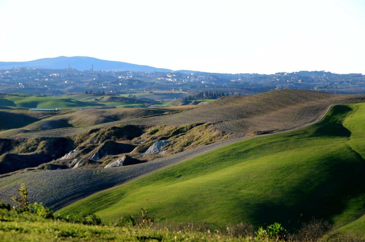 Podere Il Granaio - Crete Senesi - Tuscany เซียนา ภายนอก รูปภาพ