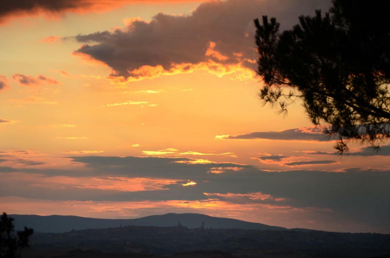 Podere Il Granaio - Crete Senesi - Tuscany เซียนา ภายนอก รูปภาพ